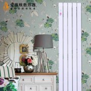 �·�װ�ޱؿ�����װů��Ƭ��Ҫע��ļ���ϸ�ڣ�
